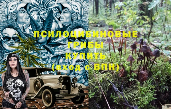 твердый Армянск
