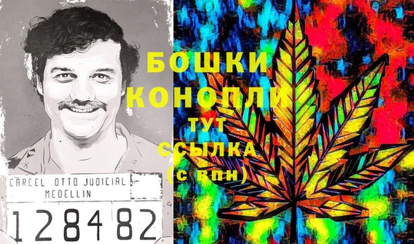 гидра Арсеньев