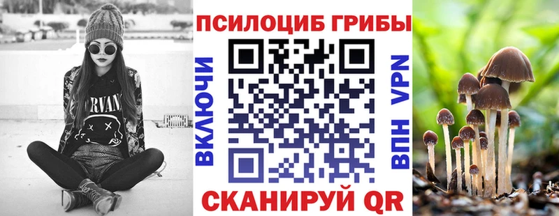 mega рабочий сайт  Безенчук  Галлюциногенные грибы мухоморы  даркнет наркотические препараты  как найти наркотики 